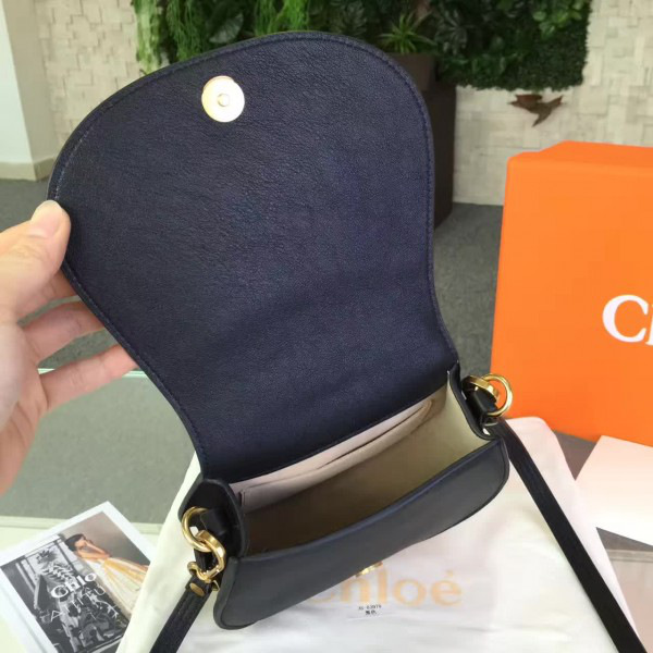 Chloe leather nile 19.5cm x 6.5cm x 16cm