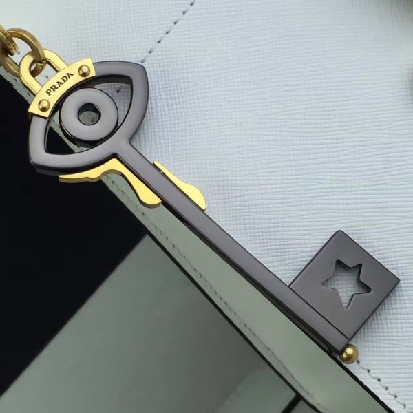 cohotbag Pra*a paradigme 3853