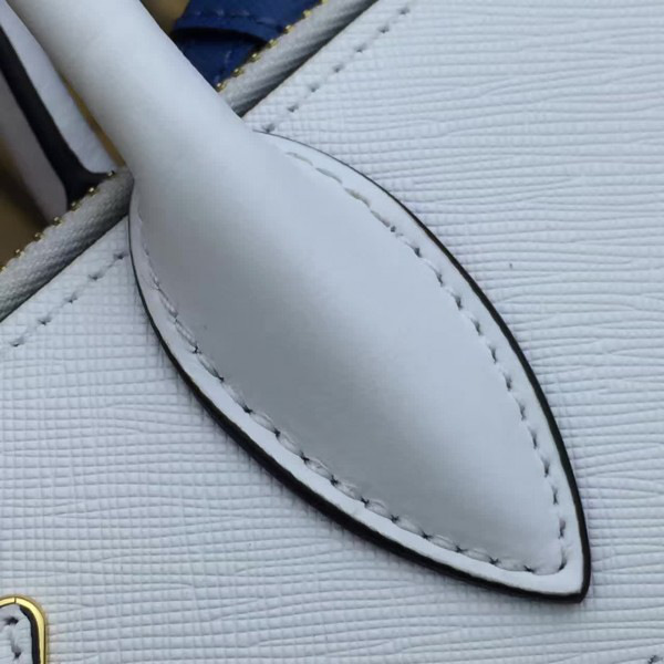 cohotbag Pra*a paradigme 3857