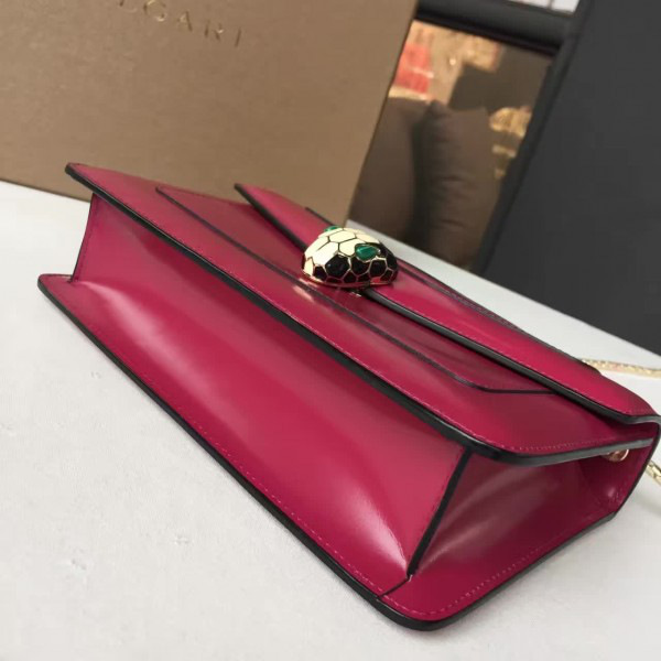 cohotbag Bv1g*ai serpenti