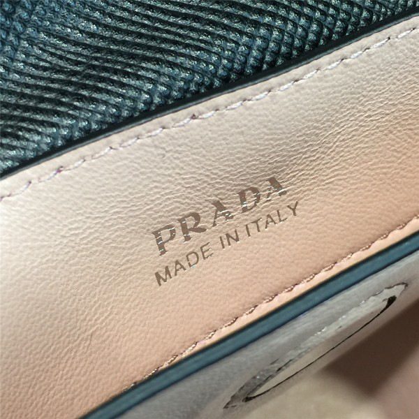 Pra*a double bag 4173 27cm x 11.5cm x 19.5cm