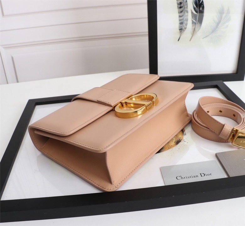 lady D10r montaigne smooth cowhide 24 x 17 x 8 cm