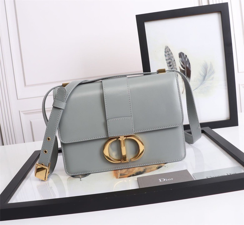 D10r lady D10r montaigne smooth cowhide gray 24 x 17 x 8 cm