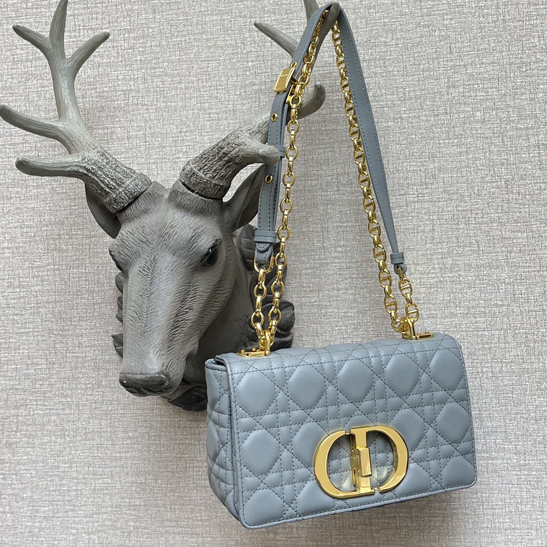 d10r small caro bag gray S*pple cannage calfskin m9241uwhc 20 × 12 × 7 cm