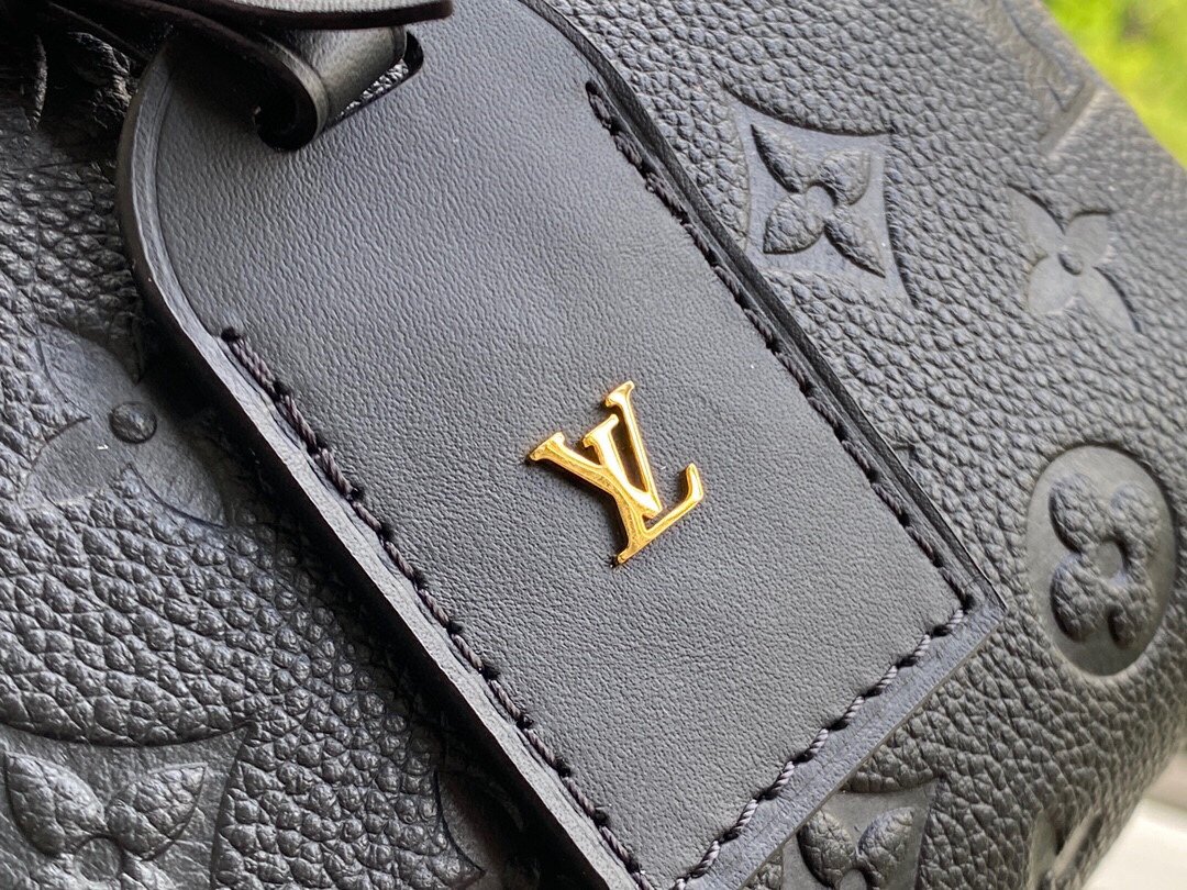 LV PETITE MALLE SOUPLE black M45394 20cm