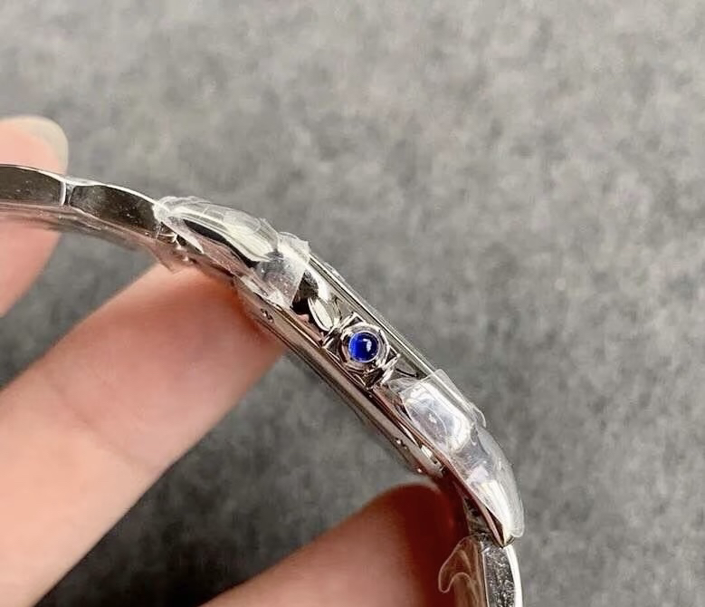 Ca*t1er cheetah watch